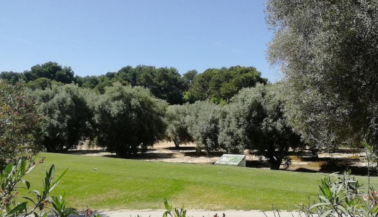 Casa Joleen 2 Villamartin  Eksteriør bilde